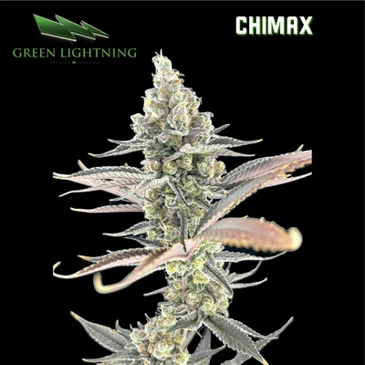Chimax