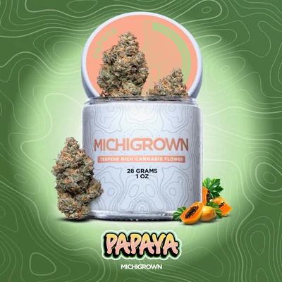 Papaya