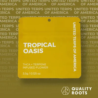 Tropical Oasis Infused Flower