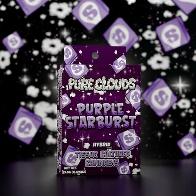 Purple Starburst 3.5g