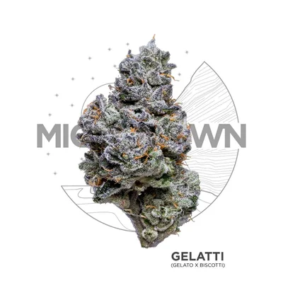 Gelatti