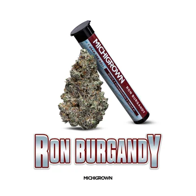Ron Burgundy Pre Roll
