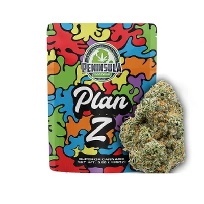 Plan Z