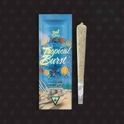 Tropical Burst Pre Roll 1g