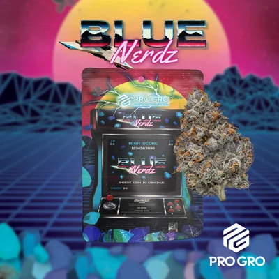 Blue Nerdz