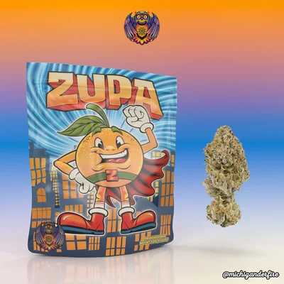Zupa