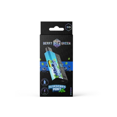Blueberry Mint Disposable