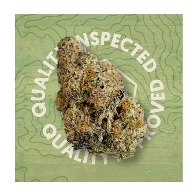 Popz 41 3.5g