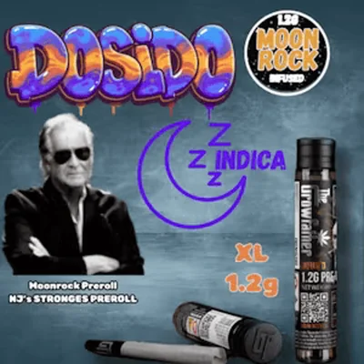 Do Si Dos Moonrock Infused Pre Roll XL