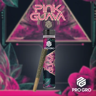 Pink Guava Pre Roll