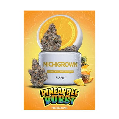 Michigrown - Pineapple Burst 3.5g