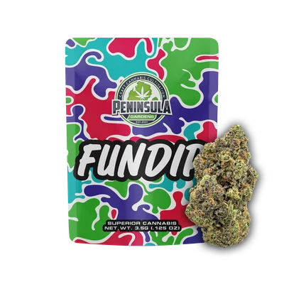Fundip