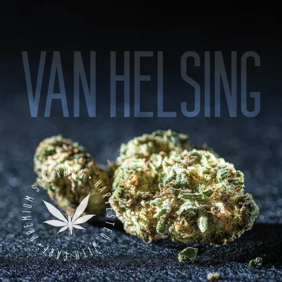 Van Helsing