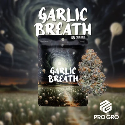 Garlic Breath 3.5g