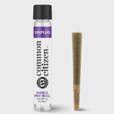 Donny Burger Pre Roll 1g