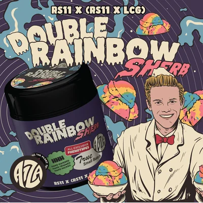 Double Rainbow Sherb