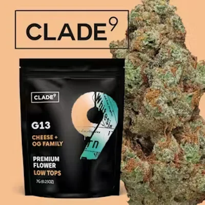 G13