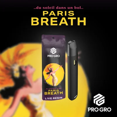 Paris Breath Live Resin Disposable
