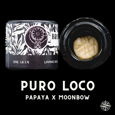 Pure Loco Cold Cure Live Hash Rosin