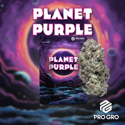 Planet Purple