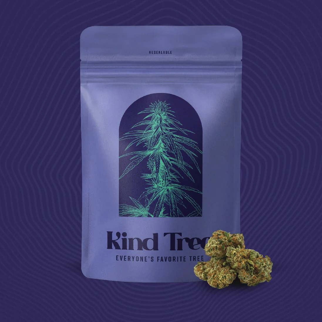 Kind Tree - Dirty Taxi 14g