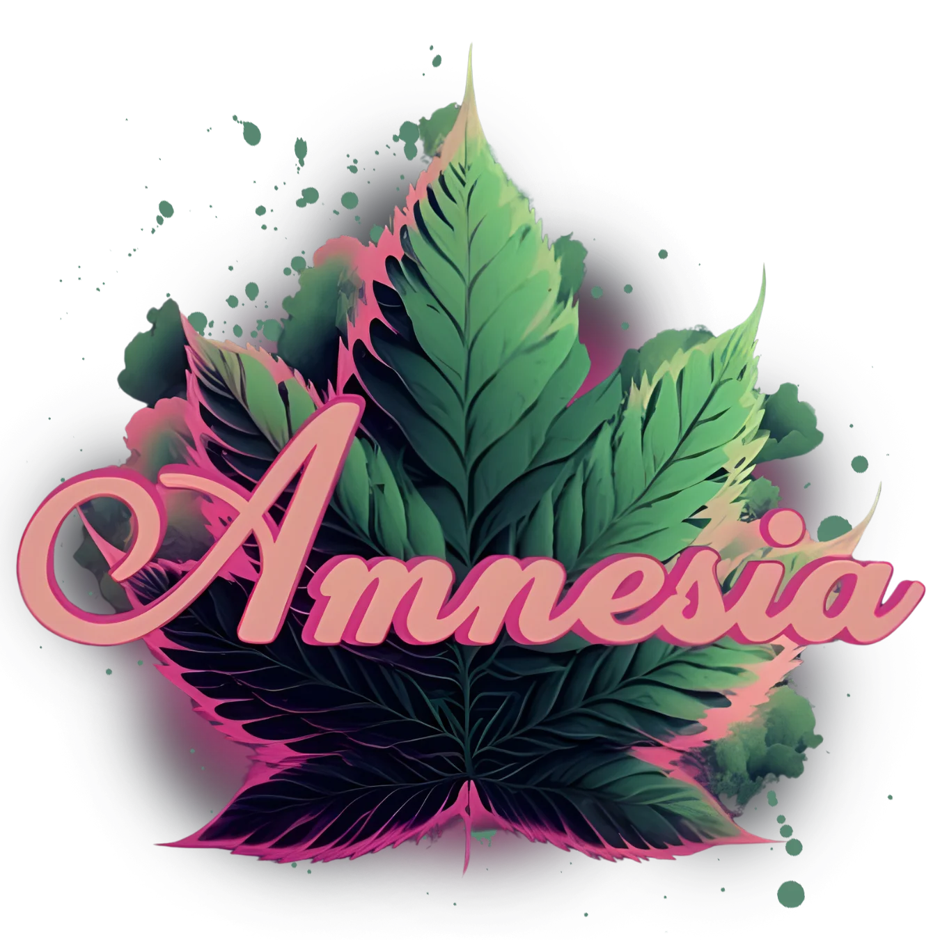 Amnesia - Blueberry Pancakes Bubble Hash Infused Pre-Roll 1.3g