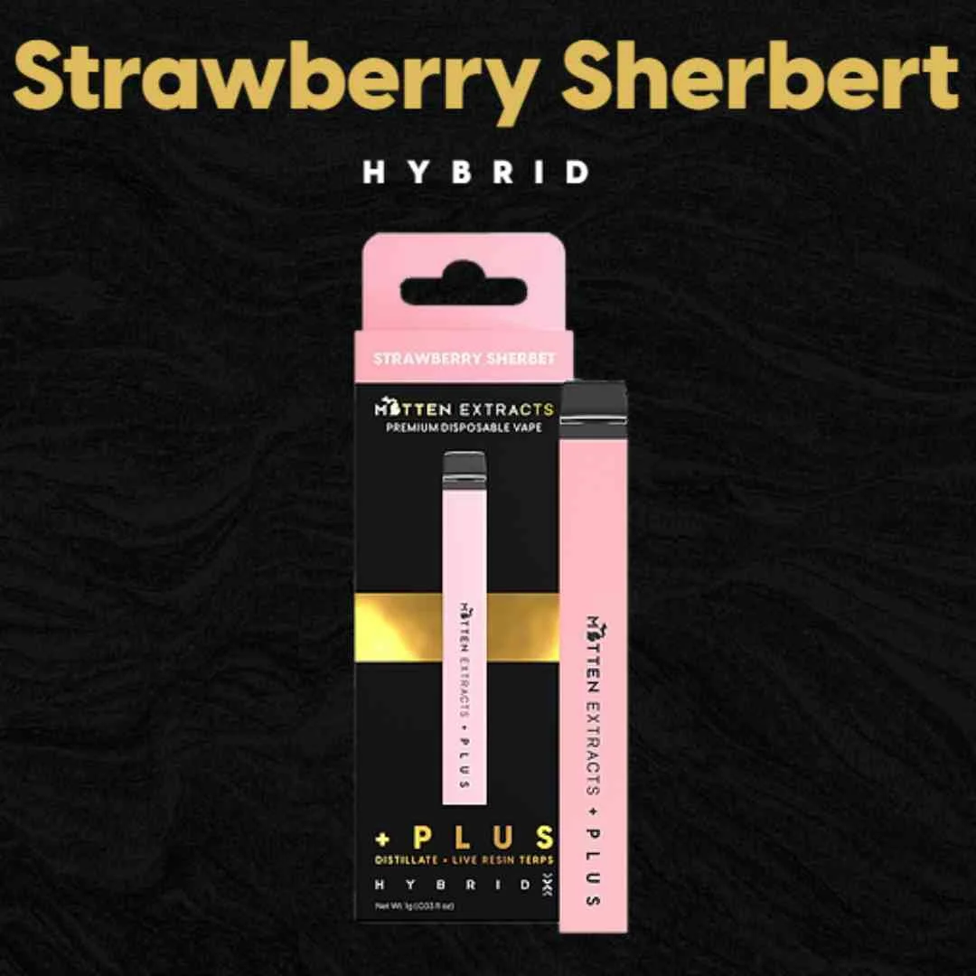 Mitten Extracts - Strawberry Sherbet Disposable 1g