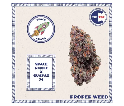 Tip Top Crop - Space Guavaz 3.5g