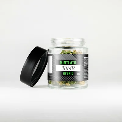 Mintlato