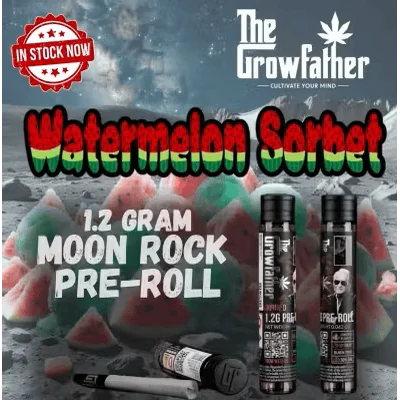 Frozen Watermelon Sorbet Moonrock Infused Pre Roll XL