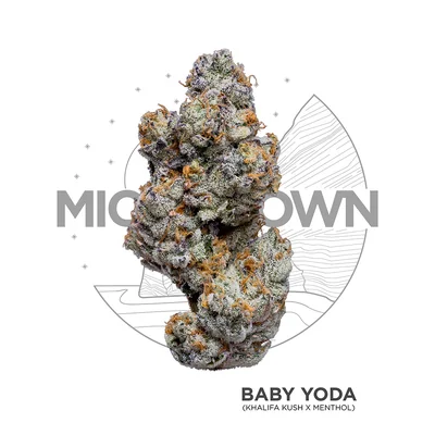 Baby Yoda