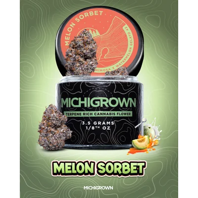 Melon Sorbet