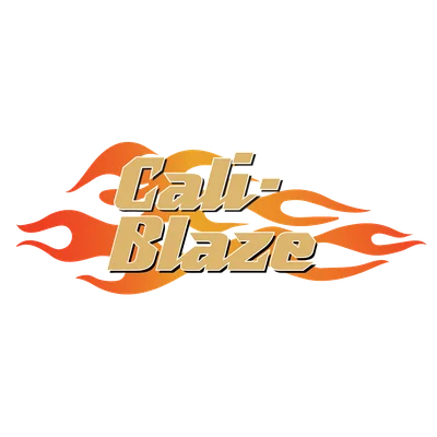 Baja Blaze Infused Pre Roll