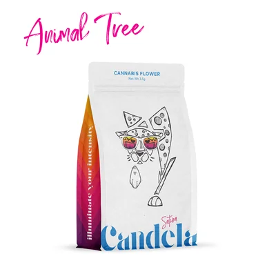 Animal Tree
