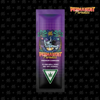 Permanent Paradize Pre Roll