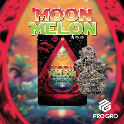 Moonmelon