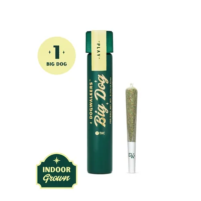 Dogwalkers Big Dogs Afternoon Delight #4 Pre Roll