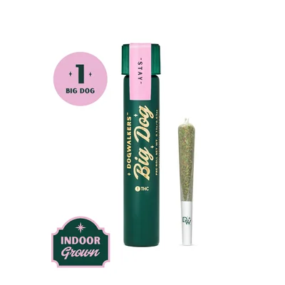 Dogwalkers Big Dogs Afternoon Delight #4 Pre Roll