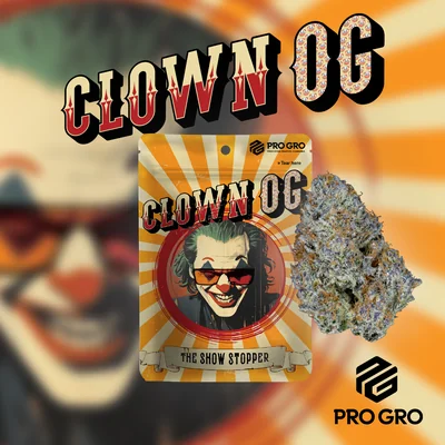 Clown OG