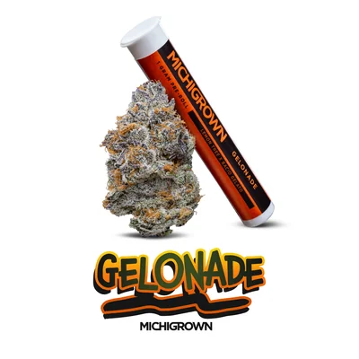Gelonade Pre Roll