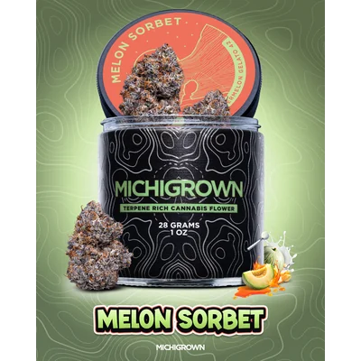 Melon Sorbet