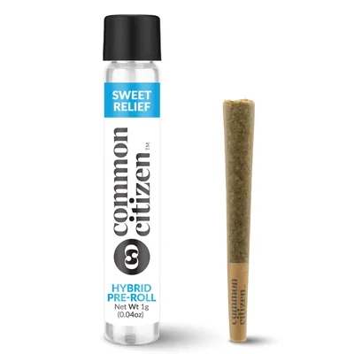 Hollywood Ghost Pre Roll