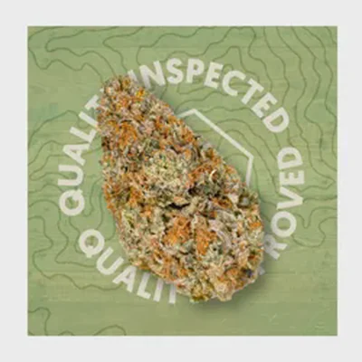 Afghani Supernova Frosted Farms